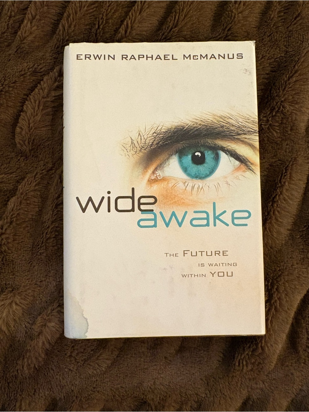 Wide Awake by Erwin McManus